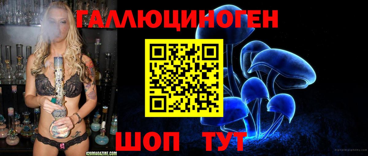Псилоцибиновые грибы Psilocybine cubensis Людиново