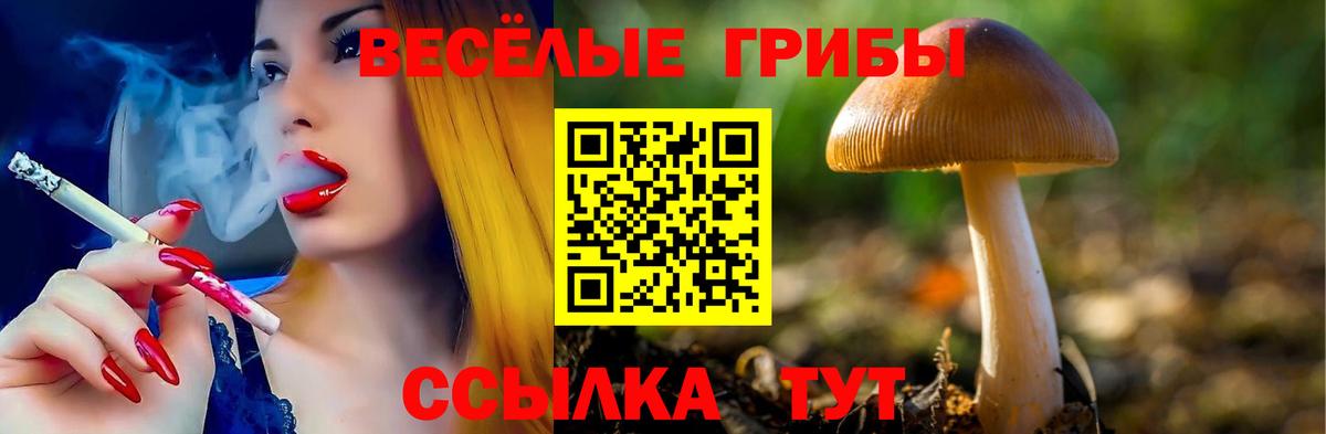 Галлюциногенные грибы Magic Shrooms  Псилоцибиновые грибы Psilocybe  Вход с VPN  Людиново 